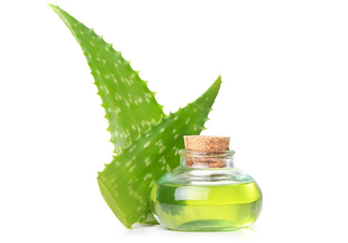 aloevera