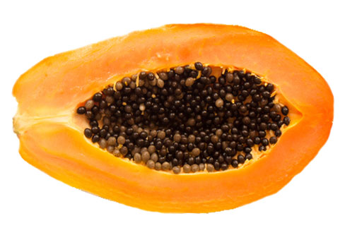 papaya