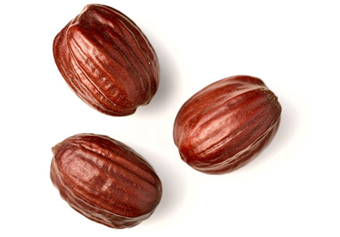 jojoba